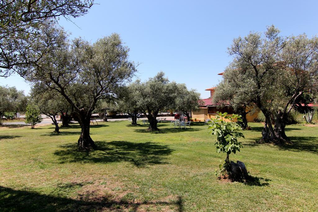 Hotel Rural Hojaranzos Tejeda de Tiétar Exterior foto